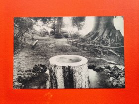 【明信片Y52】（茨城县）水户常磐公园吐玉泉【日本老早期风景照绘叶书】