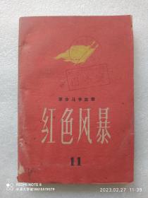 革命斗争故事 红色风暴 11 第十一集 江西赣南地区革命斗争的专集