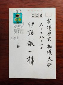 【24020377】平信一（东京大学教养学部教授，在职30余年）致伊藤敬一（东京大学、中京大学教授，日本著名的汉学家、老舍研究专家，日中友好协会会长、名誉会长）明信片