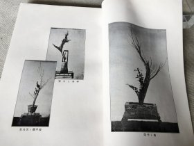 《生华讲义录》一函全6册，多图，日本花道插花生花盛花