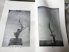 《生华讲义录》一函全6册，多图，日本花道插花生花盛花