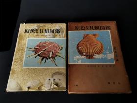 保育社《原色日本贝类图鉴》精装带外盒