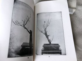 《生华讲义录》一函全6册，多图，日本花道插花生花盛花