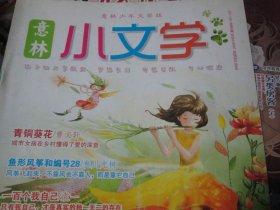 意林小文学杂志2011年9期