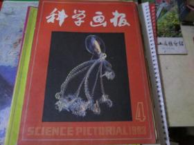 科学画报杂志1983年第4期
