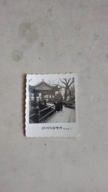 1964.3杭州三潭印月合影留念