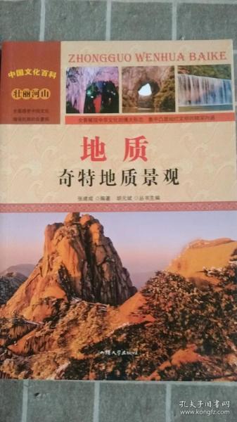 中国文化百科 壮丽河山 地质：奇特地质景观（彩图版）