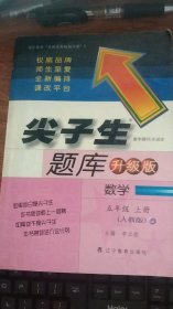 尖子生题库·升级版：数学（五年级上册）