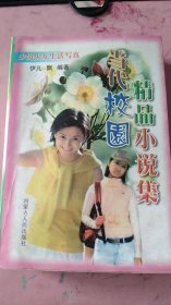 当代校园精品小说集