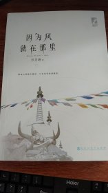 因为风就在那里 下