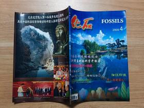 化石（季刊）2009年第4期