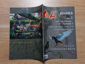 化石（季刊）2009年第3期