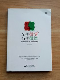 左手微博右手微信：企业微营销实战攻略