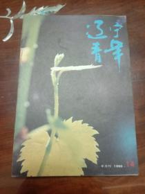 期刊杂志--辽宁青年 086：1990年第14期 总第425期（32K半月刊）