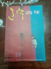 期刊杂志--辽宁青年 071：1989年第23期 总第410期（32K半月刊）