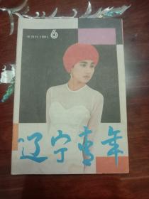 期刊杂志--辽宁青年 099：1991年第6期 总第441期（32K半月刊）