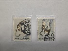 邮票--特字头特种邮票：特 60 金丝猴（333,334）