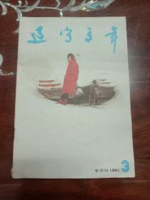 期刊杂志--辽宁青年 097：1991年第3期 总第438期（32K半月刊）