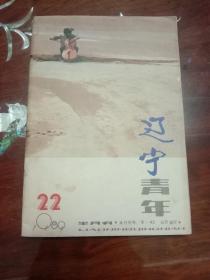 期刊杂志--辽宁青年 070：1989年第22期 总第409期（32K半月刊）
