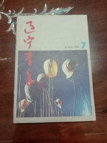 期刊杂志--辽宁青年 100：1991年第7期 总第442期（32K半月刊）