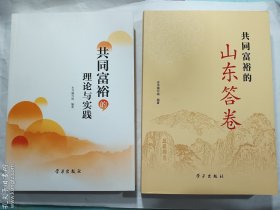 共同富裕的理论与实践 + 共同富裕的山东答卷  两册合售   正版  实拍  现货