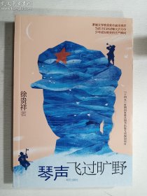 琴声飞过旷野  徐贵祥 著   明天出版社   正版  实拍  现货