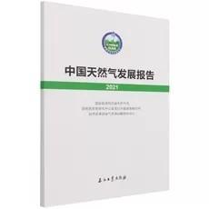 中国天然气发展报告2021  国家能源局石油天然气司