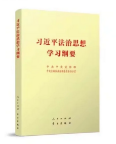 2021正版新书 习近平法治思想学习纲要 32开小字本 人民出版社 学习出版社党建读物党政图书籍辅导读物9787010240121