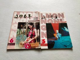 辽宁青年 1995年（5.6）2册合售【有破损】