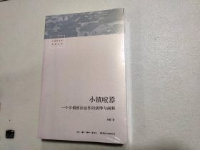 小镇喧嚣：一个乡镇政治运作的演绎与阐释