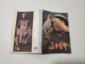辽宁青年 1987/15【有破损 字迹】