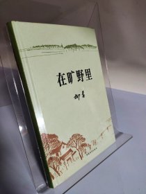 在旷野里