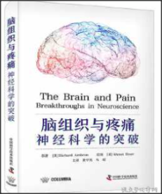 脑组织与疼痛：神经科学的突破