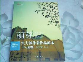 盛开萌芽11年实力派作者作品范本小说卷：小宇宙