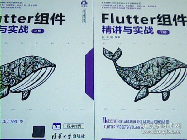 Flutter组件精讲与实战（套装上下册）/计算机科学与技术丛书