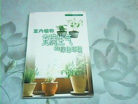 室内植物：充满生气的绿色环境——园艺百科