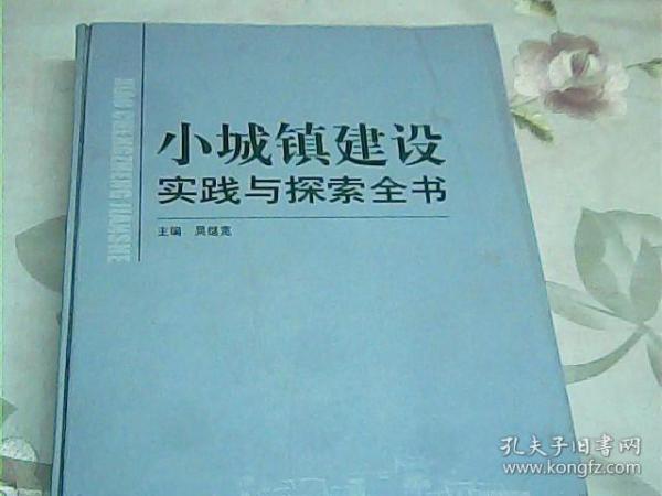 小城镇建设实践与探索全书