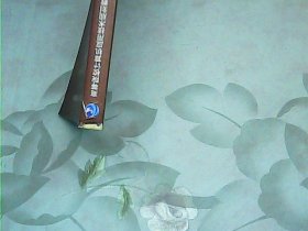 C++程序设计例题解析与项目实践