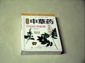 精致中草药工具丛书：常用中草药识别应用图谱（手绘本）