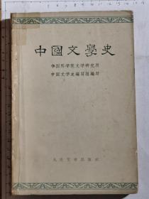 中国文学史（一、二、三）