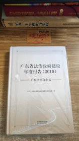 广东省法治政府建设年度报告（2019）