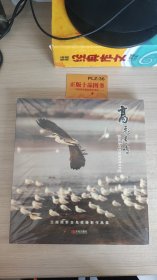 高飞远鸣 : 王振照野生鸟类摄影作品集