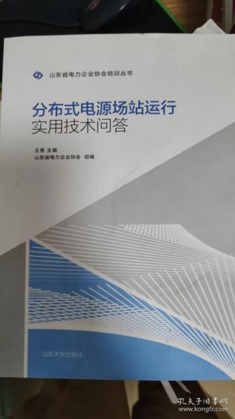 分布式电源场站运行实用技术问答/山东省电力企业协会培训丛书