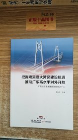 把握粤港澳大湾区建设机遇推动广东高水平对外开放 : 广东经济发展国际咨询会之十二