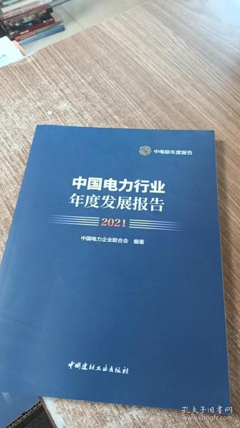 中国电力行业年度发展报告2021