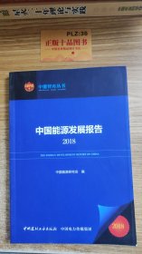 中国能源发展报告2018