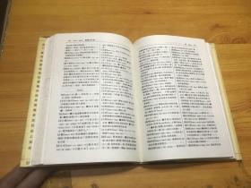 柳州方言词典——现代汉语方言大词典·分卷
