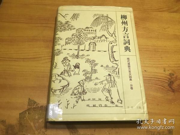 柳州方言词典——现代汉语方言大词典·分卷