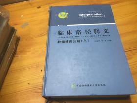 临床路径释义：肿瘤疾病分册（上册2018年版）