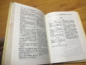 雷州方言词典——现代汉语方言大词典·分卷